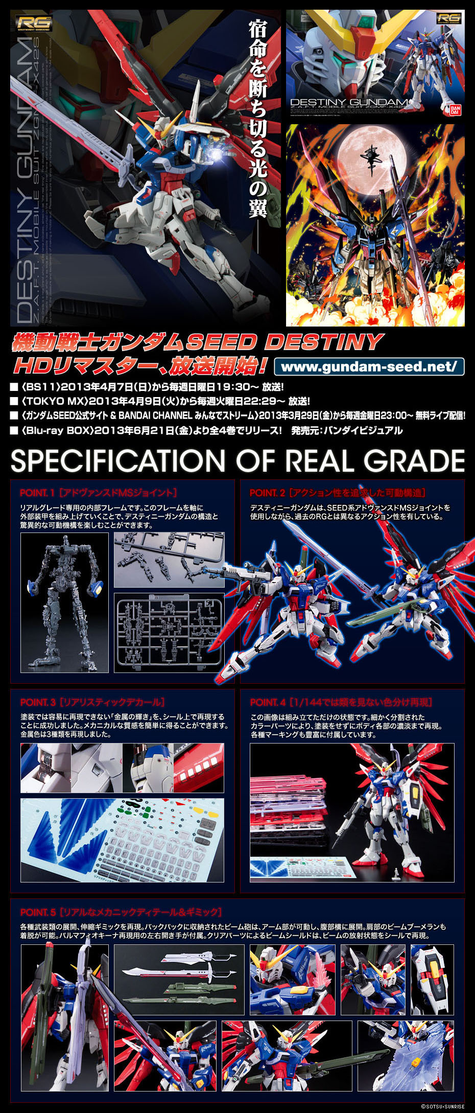 [RG 11] 1/144 ����Ƽ�� �Ǵ� [8���԰��Ϸ�] [4573102616166]