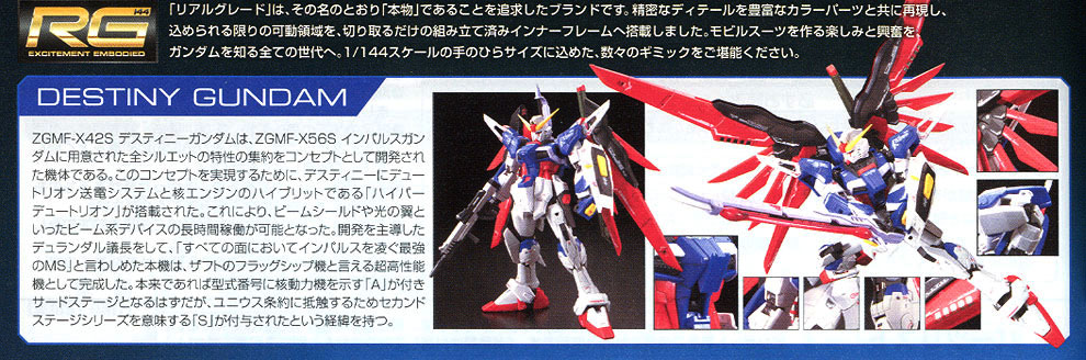 [RG 11] 1/144 ����Ƽ�� �Ǵ� [8���԰��Ϸ�] [4573102616166]