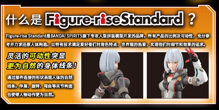 [�ǱԾ������ ���Ĵٵ�] ���̽� ���� - �ǹ� [12���԰��Ϸ�] [4573102607621]