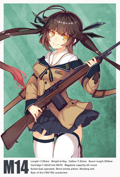 [��Ʋ�Ƹ�][LADF12] �ҳ����� - M14Ÿ�� [7���԰��Ϸ�] [4543736315292]