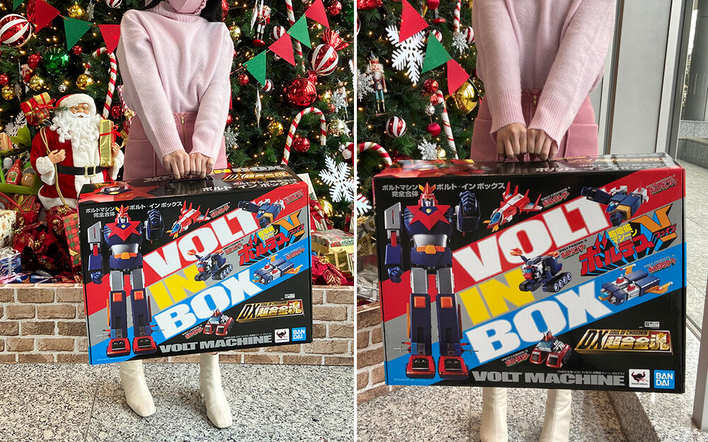 DX���ձ�ȥ VOLT IN BOX ������ �ӽ� ���׽�V [1���԰��Ϸ�] [4573102605054]