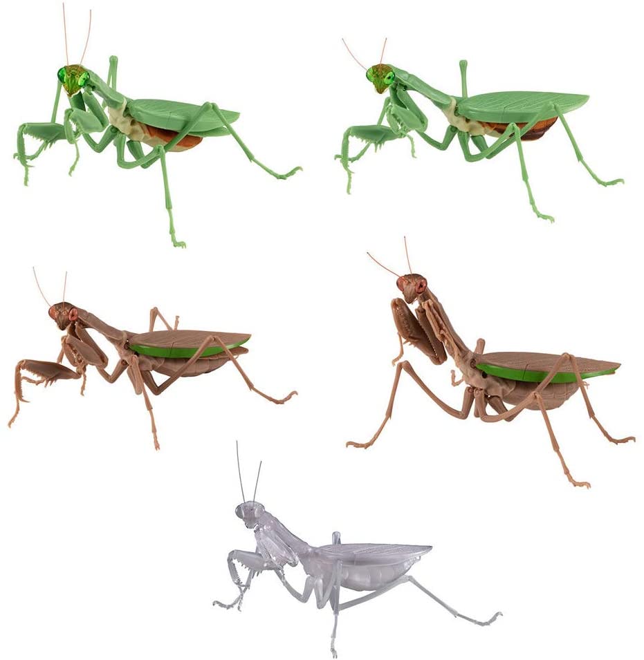 ĸ������ �縶�� 3�� ��Ʈ [1���԰��Ϸ�] [4549660473572]