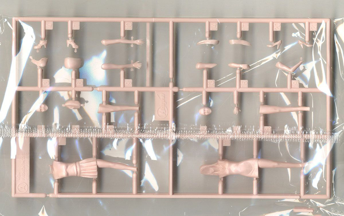 1/24 FC04.�м� �� ���� �ǱԾ�(2ü ��Ʈ) [2���԰��Ϸ�] [4967834291041]