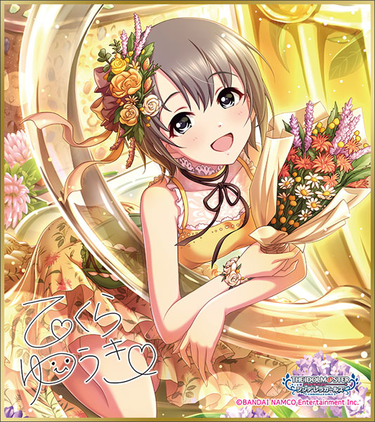 ���̵� ������ �ŵ����� ���� �̴� ���� �ݷ���(1�ڽ�12����) [2���԰��Ϸ�] [4549743474281]