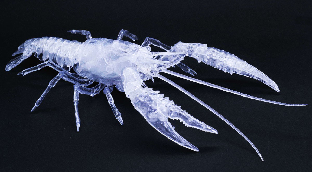 �������� �ø��� ������ - �̱� ����(Ŭ����) [2���԰��Ϸ�] [4968728171005]