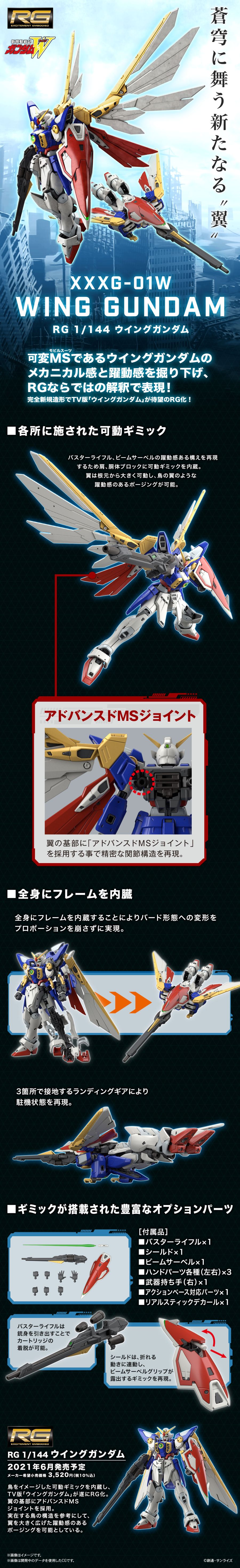 [RG 35] 1/144 �� �Ǵ� [2���԰��Ϸ�] [4573102616616]