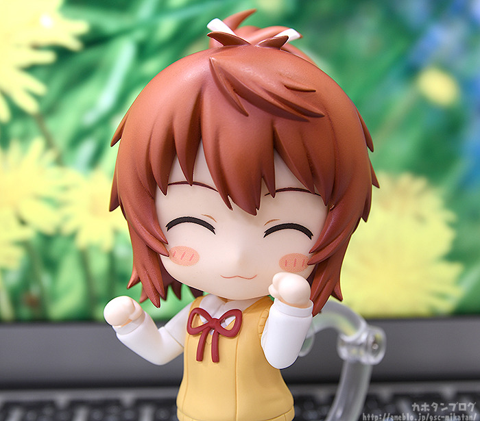 [�ٵ����̵� ���] �ٲٴ� ���̽� ������丮 ������(1�ڽ�6����) [11���԰��Ϸ�] [4580590143104]