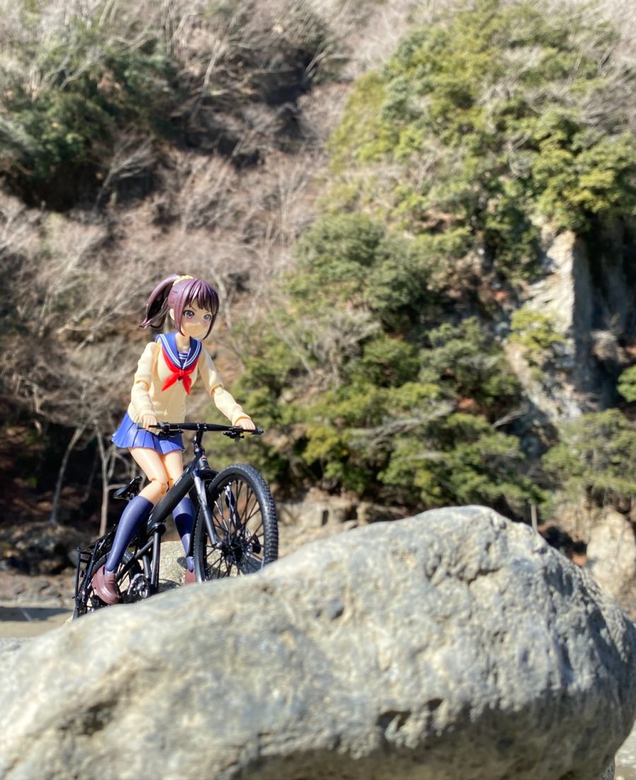 [âä�ҳ�����] 1/10 ����Ű ����ī ��� ������ �����б� ���� [11���԰��Ϸ�] [4934054011599]