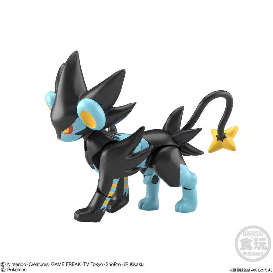 [����] SHODO ���ϸ��� 6ź(1�ڽ�10����) [8���԰��Ϸ�] [4549660583653]