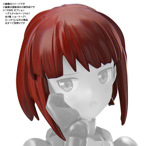 [30MS] �ɼ� ��� ��Ÿ�� ���� Vol.1 4����Ʈ [9���԰��Ϸ�] [4573102617682]