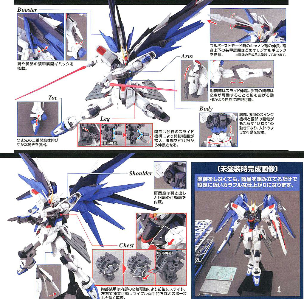 [MG] 1/100 ������ �Ǵ� Ver.2.0 [2���԰��Ϸ�] [4573102616111]
