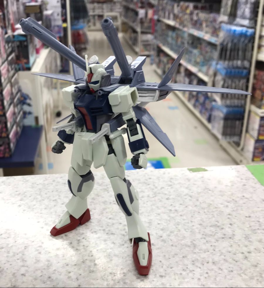 [HGCE 237] 1/144 ���L [2���԰��Ϸ�][4573102615466]