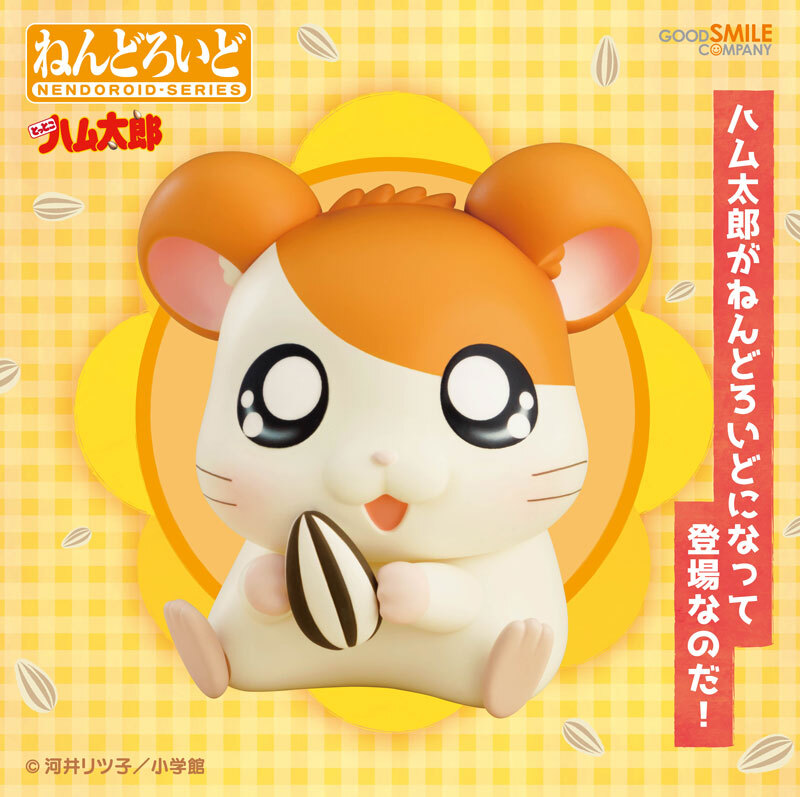 [�ٵ����̵�1615] �氡�氡 ���丮(������ ��Ÿ��) - ���丮(��Ÿ��) [1���԰��Ϸ�] [4580590124752]