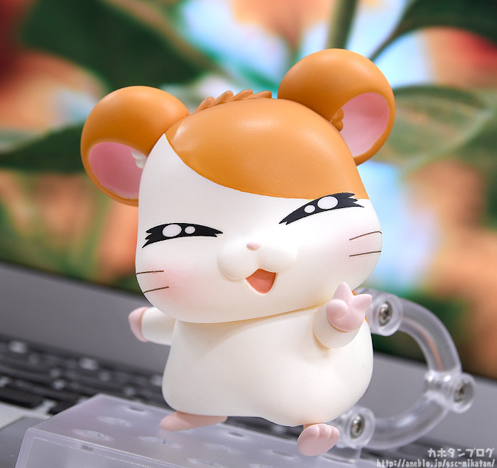 [�ٵ����̵�1615] �氡�氡 ���丮(������ ��Ÿ��) - ���丮(��Ÿ��) [1���԰��Ϸ�] [4580590124752]