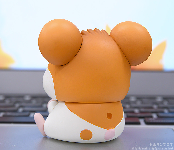 [�ٵ����̵�1615] �氡�氡 ���丮(������ ��Ÿ��) - ���丮(��Ÿ��) [1���԰��Ϸ�] [4580590124752]