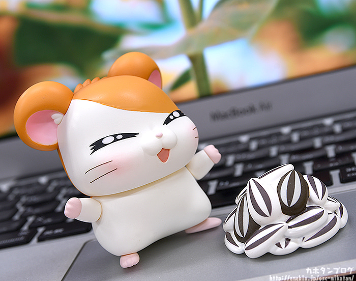 [�ٵ����̵�1615] �氡�氡 ���丮(������ ��Ÿ��) - ���丮(��Ÿ��) [1���԰��Ϸ�] [4580590124752]