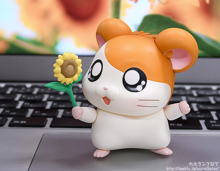 [�ٵ����̵�1615] �氡�氡 ���丮(������ ��Ÿ��) - ���丮(��Ÿ��) [1���԰��Ϸ�] [4580590124752]