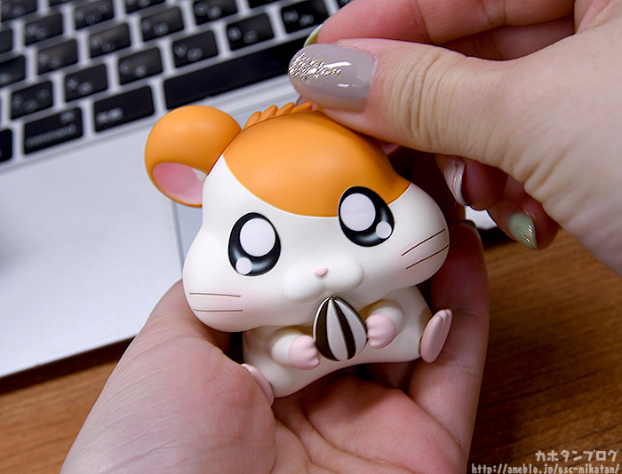 [�ٵ����̵�1615] �氡�氡 ���丮(������ ��Ÿ��) - ���丮(��Ÿ��) [1���԰��Ϸ�] [4580590124752]