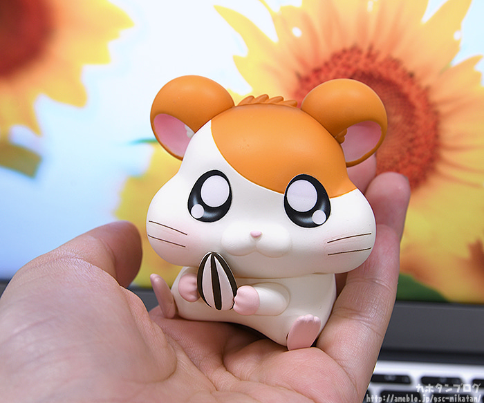 [�ٵ����̵�1615] �氡�氡 ���丮(������ ��Ÿ��) - ���丮(��Ÿ��) [1���԰��Ϸ�] [4580590124752]