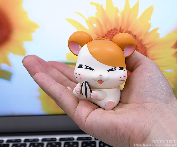 [�ٵ����̵�1615] �氡�氡 ���丮(������ ��Ÿ��) - ���丮(��Ÿ��) [1���԰��Ϸ�] [4580590124752]