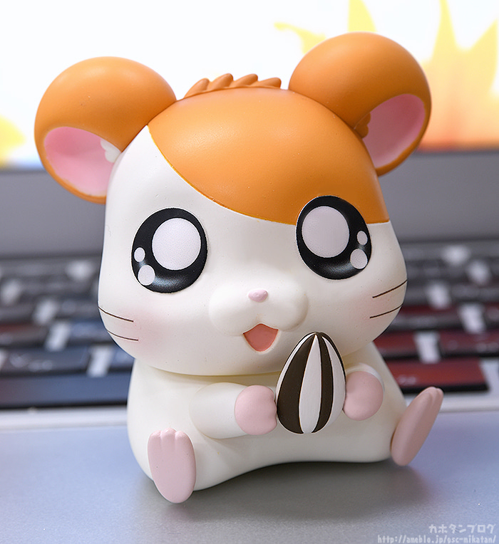 [�ٵ����̵�1615] �氡�氡 ���丮(������ ��Ÿ��) - ���丮(��Ÿ��) [1���԰��Ϸ�] [4580590124752]