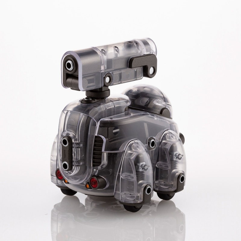 1/12 ���������� - Ÿ���� ���̷��� [11���԰��Ϸ�] [4934054035540]