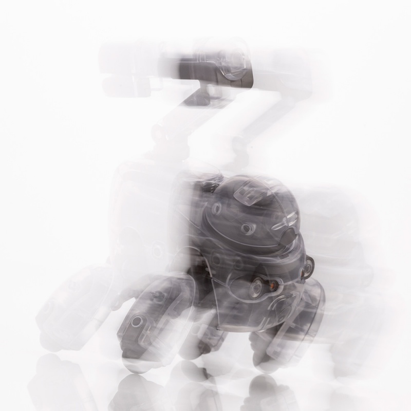 1/12 ���������� - Ÿ���� ���̷��� [11���԰��Ϸ�] [4934054035540]