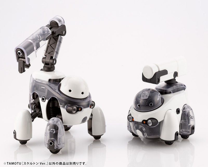 1/12 ���������� - Ÿ���� ���̷��� [11���԰��Ϸ�] [4934054035540]