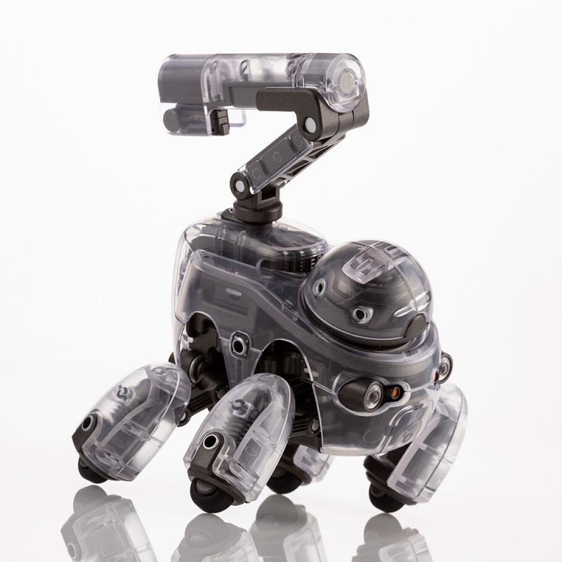 1/12 ���������� - Ÿ���� ���̷��� [11���԰��Ϸ�] [4934054035540]