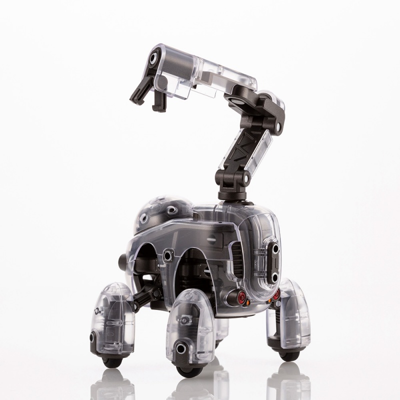 1/12 ���������� - Ÿ���� ���̷��� [11���԰��Ϸ�] [4934054035540]