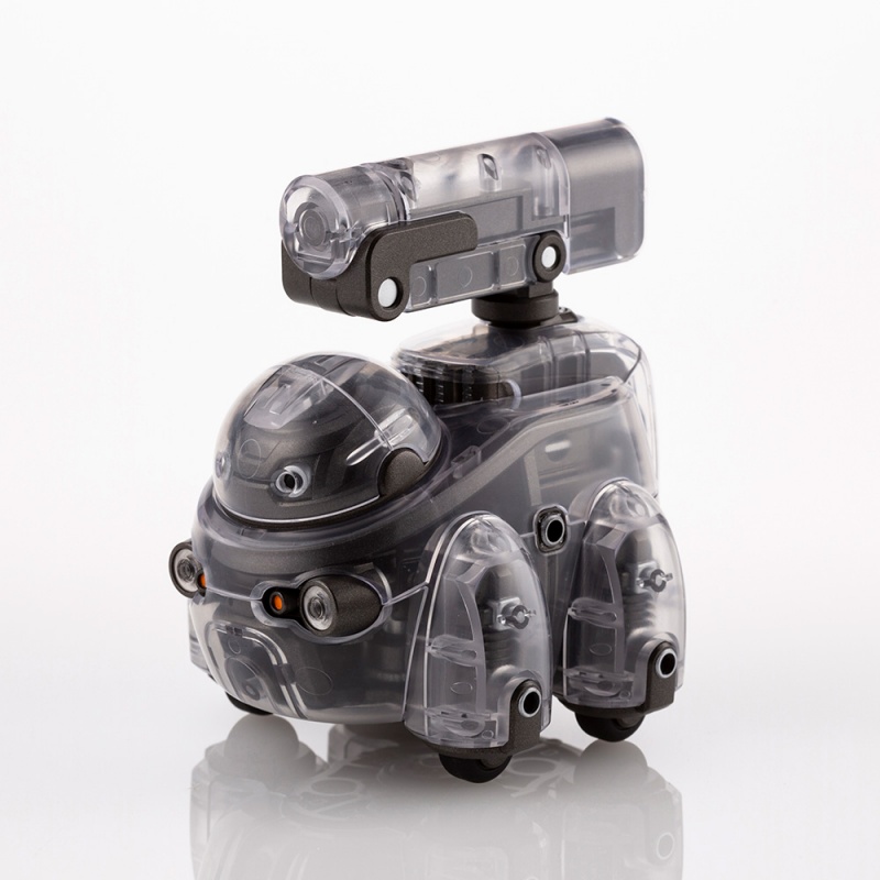 1/12 ���������� - Ÿ���� ���̷��� [11���԰��Ϸ�] [4934054035540]