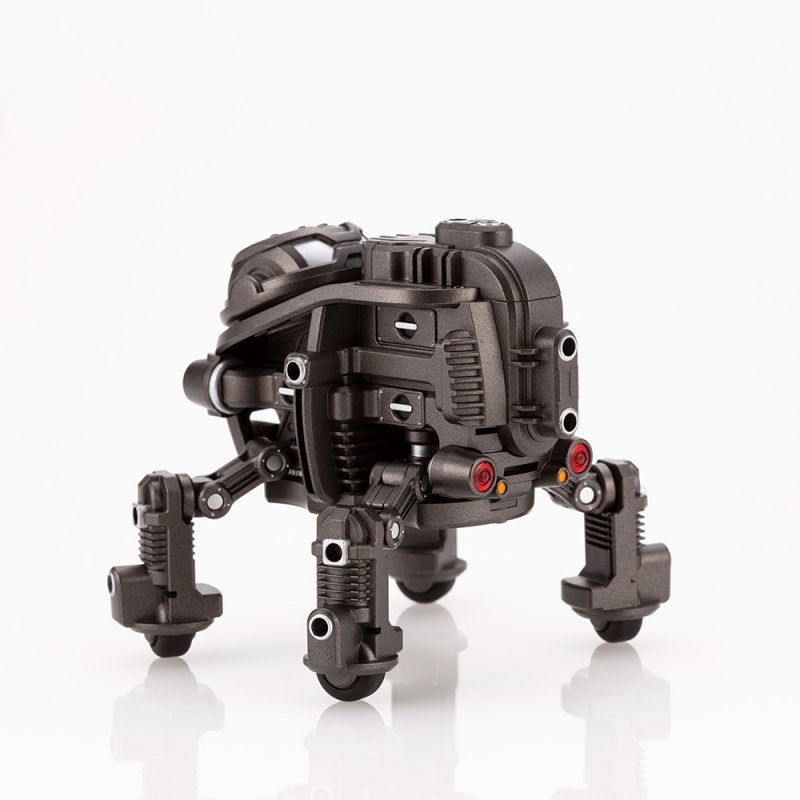 1/12 ���������� - Ÿ���� ���̷��� [11���԰��Ϸ�] [4934054035540]