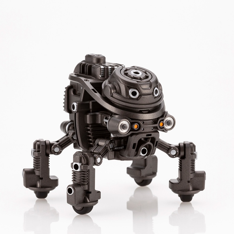 1/12 ���������� - Ÿ���� ���̷��� [11���԰��Ϸ�] [4934054035540]