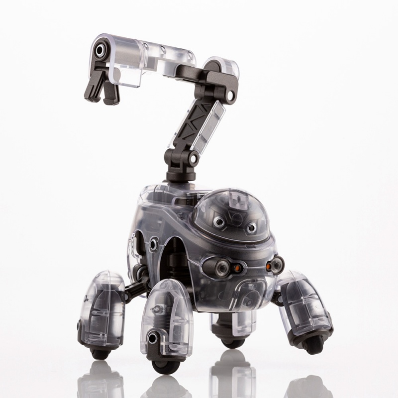 1/12 ���������� - Ÿ���� ���̷��� [11���԰��Ϸ�] [4934054035540]