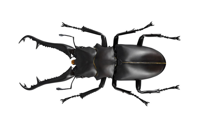 REVO GEO �������罿���� [1���԰��Ϸ�] [4537807170071]