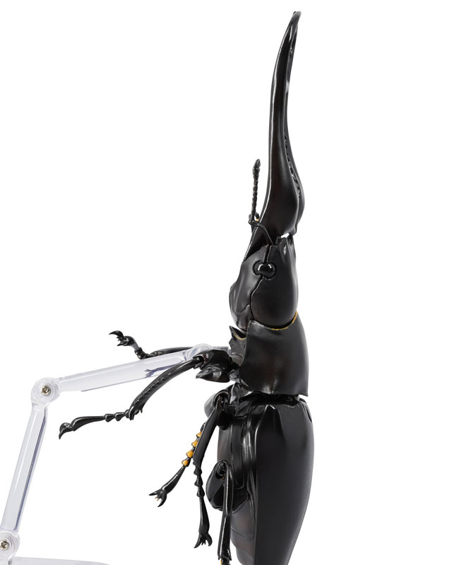 REVO GEO �������罿���� [1���԰��Ϸ�] [4537807170071]