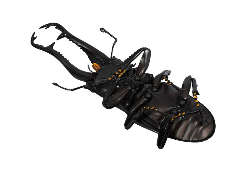 REVO GEO �������罿���� [1���԰��Ϸ�] [4537807170071]