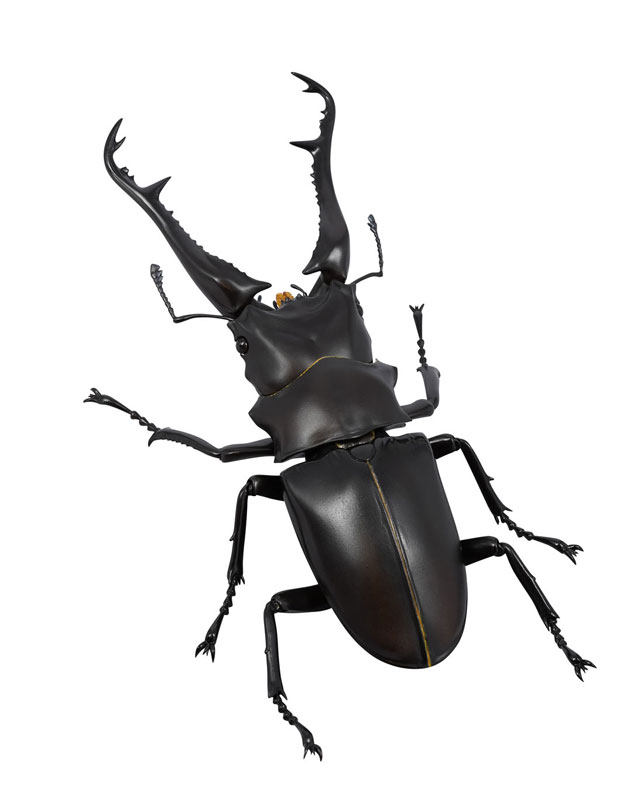 REVO GEO �������罿���� [1���԰��Ϸ�] [4537807170071]