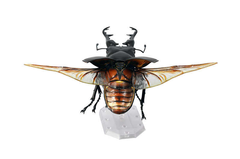 REVO GEO �������罿���� [1���԰��Ϸ�] [4537807170071]