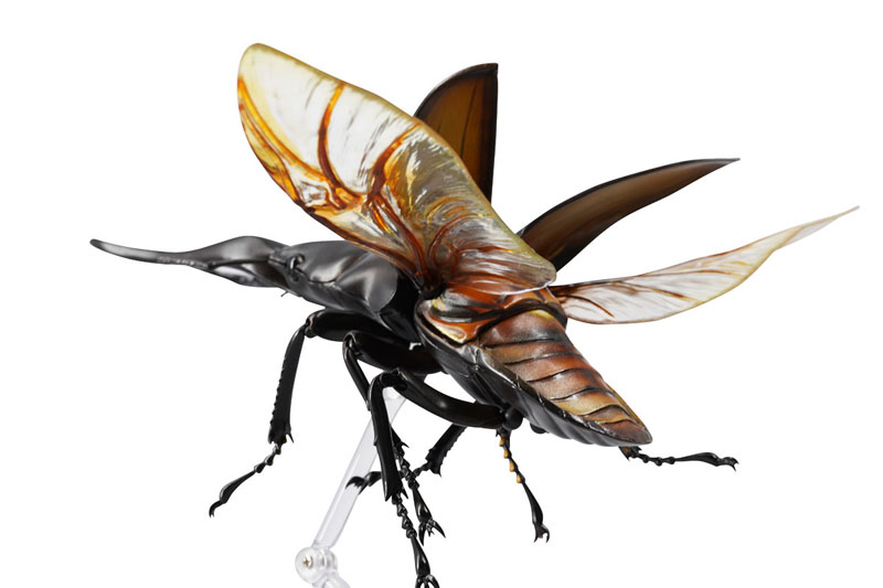 REVO GEO �������罿���� [1���԰��Ϸ�] [4537807170071]