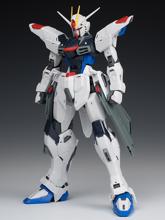 [MG] 1/100 ������ �Ǵ� Ver.2.0 [2���԰��Ϸ�] [4573102616111]