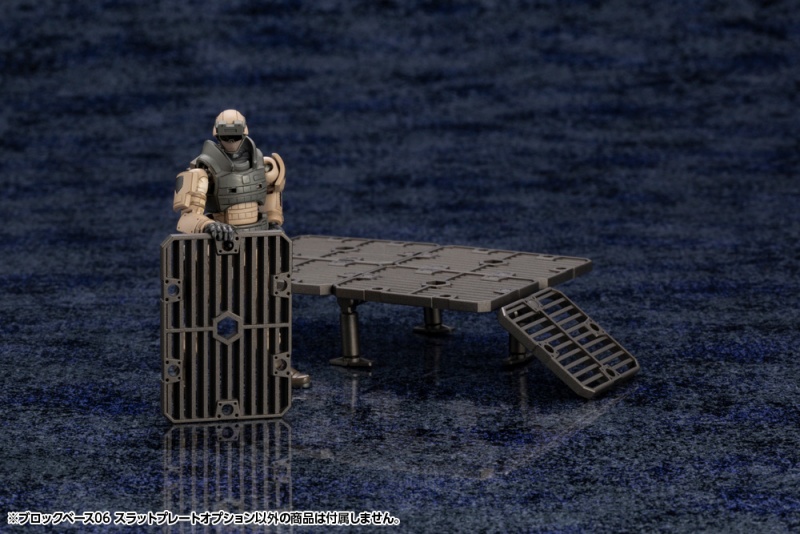 [������] 1/24 ���� ���̽�06 ���� �÷���Ʈ �ɼ� [11���԰��Ϸ�] [4934054031672]