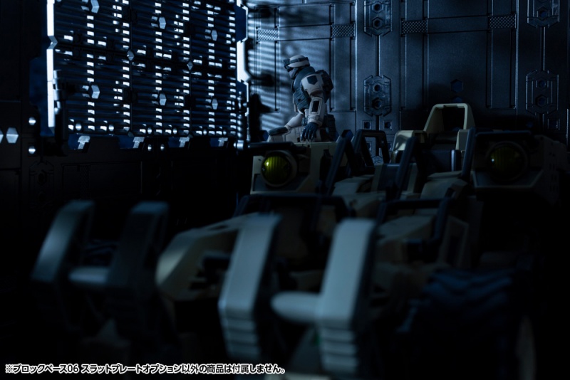 [������] 1/24 ���� ���̽�06 ���� �÷���Ʈ �ɼ� [11���԰��Ϸ�] [4934054031672]