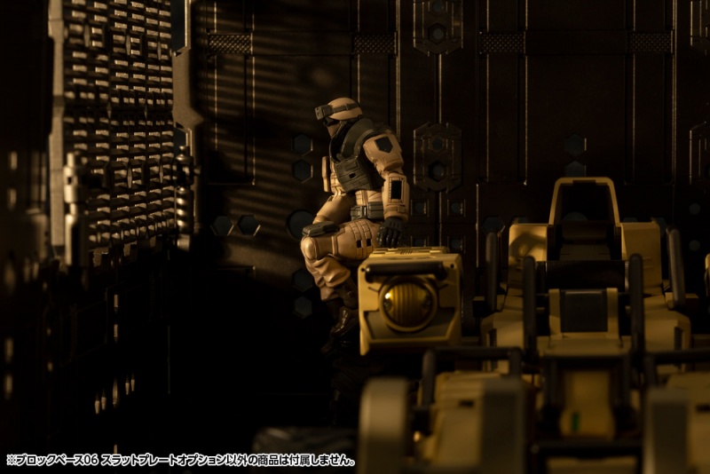 [������] 1/24 ���� ���̽�06 ���� �÷���Ʈ �ɼ� [11���԰��Ϸ�] [4934054031672]