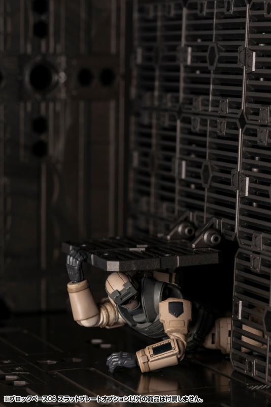 [������] 1/24 ���� ���̽�06 ���� �÷���Ʈ �ɼ� [11���԰��Ϸ�] [4934054031672]