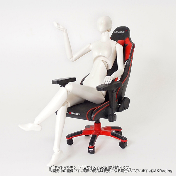 1/12 AKARACING PRO-X V2 Vol.2(1�������߼�) [6���԰��Ϸ�] [4582361786602]