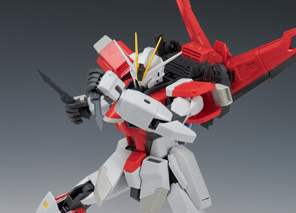 [MG] 1/100 �ҵ� ���޽� �Ǵ� [2���԰��Ϸ�] [4573102641182]