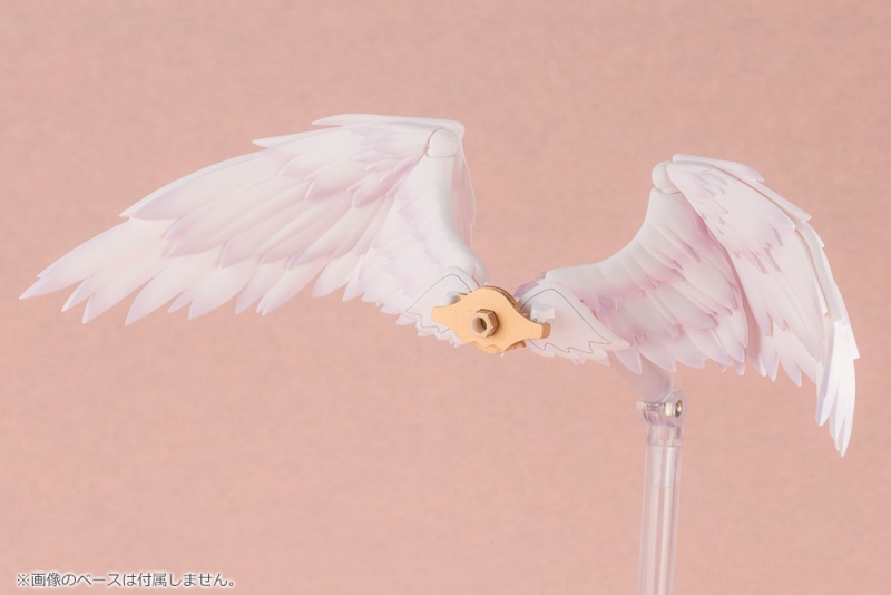 [�Ƹ�ī�����] ���Ƽ�� [3���԰��Ϸ�][4934054038190]