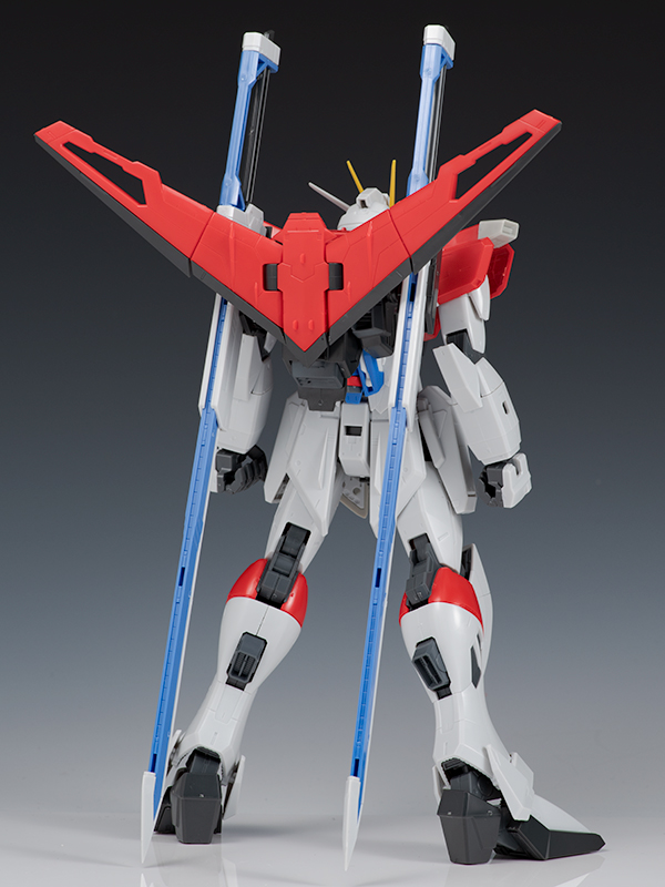 [MG] 1/100 �ҵ� ���޽� �Ǵ� [2���԰��Ϸ�] [4573102641182]
