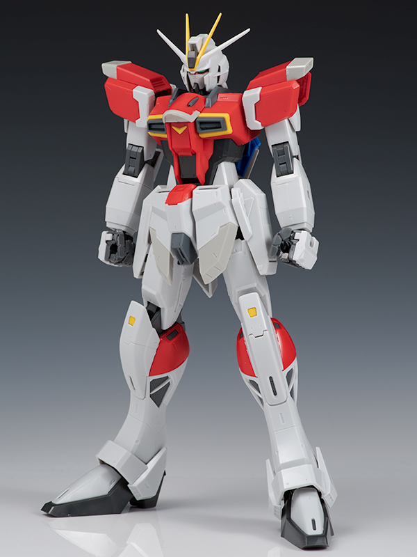[MG] 1/100 �ҵ� ���޽� �Ǵ� [2���԰��Ϸ�] [4573102641182]